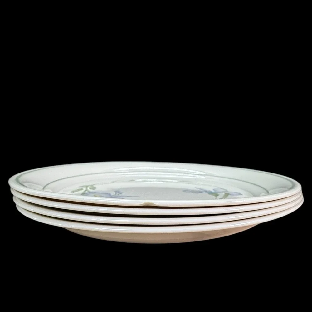 Corelle Cornerstone‎ IRIS Dinner Plates 10 1/4
